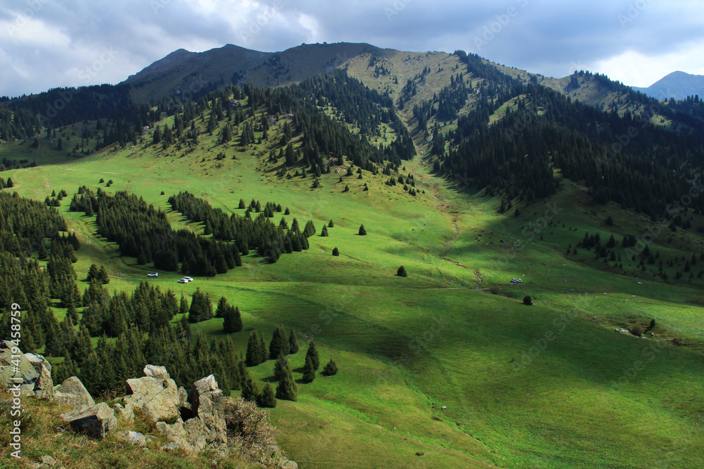 The large green grassy plateau Kok Zhailau at the foot of the mountain range in summer, a spruce forest grows on the plateau and the mountain, in the foreground a slope with stones, the sky with cloud