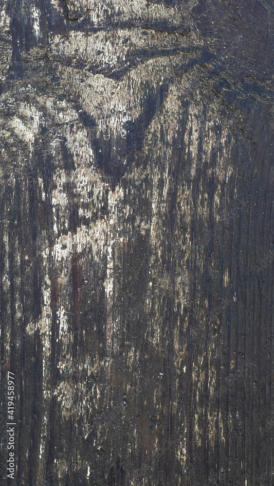 Obraz premium Dark wooden background with old boards with traces of white peeling paint