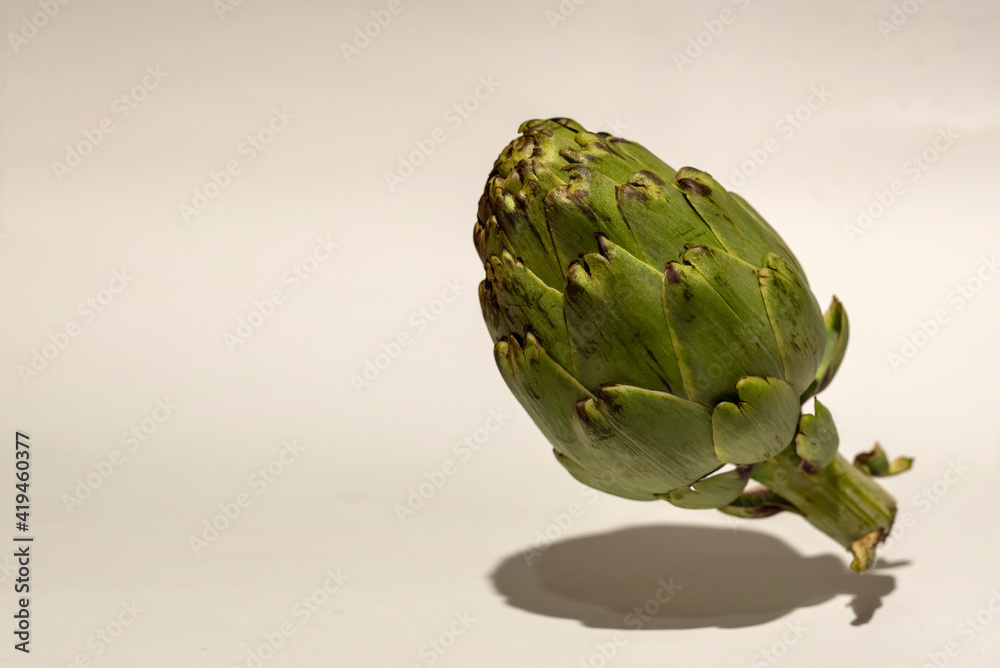 Obraz premium Artichoke (Cynara scolymus) with shadow isolated on white background