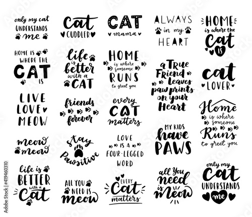 Cat phrase black and white poster. Inspirational quotes about cat, and domestical pets. Hand written phrases for poster, cat adoption lettering. Adopt a cat.