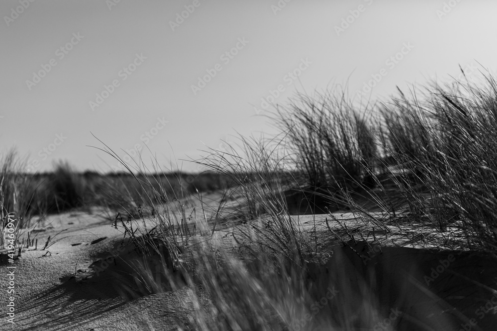 Fototapeta premium test de buch ocean 