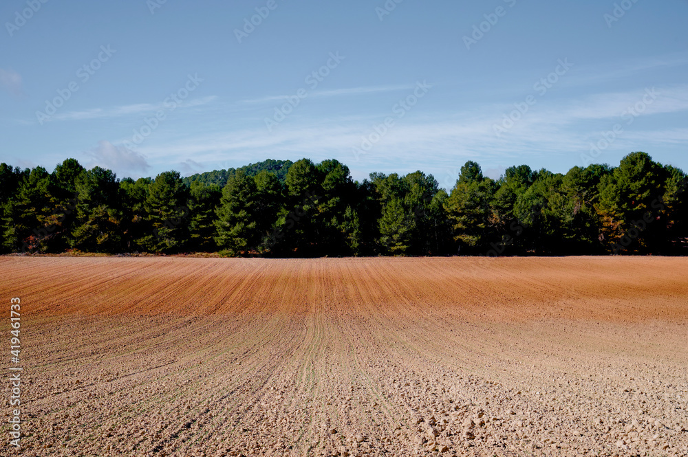 Amazing view of nice farming field in countryside with green trees behind Amazing view of nice farming field in countryside with green trees behind