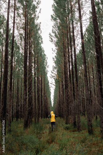 Back view of anonymous traveler in yellow raincoat running along alley among tall trees in woods in Australia