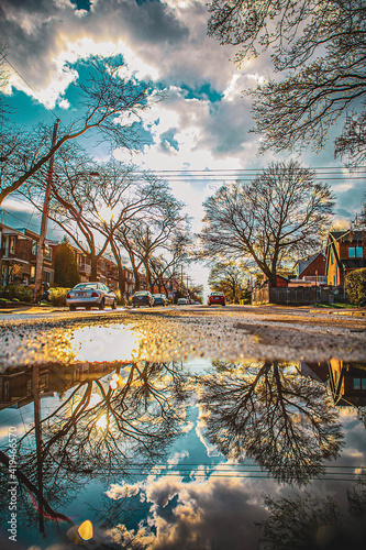 Reflection of bare trees on puddle at street