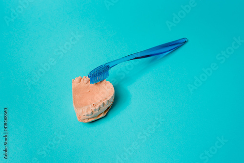 From above of upper jaw cast and plastic toothbrush with soft bristles representing dental hygiene concept