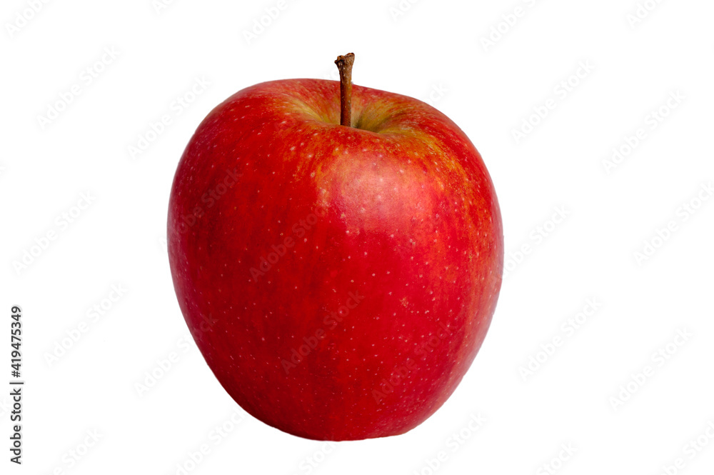 jabłko, makro, zółty, jabłek, owoc, czerwień, zieleń, lato, roślin - obrazy, fototapety, plakaty 