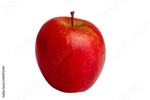 jabłko, makro, zółty, jabłek, owoc, czerwień, zieleń, lato, roślin
