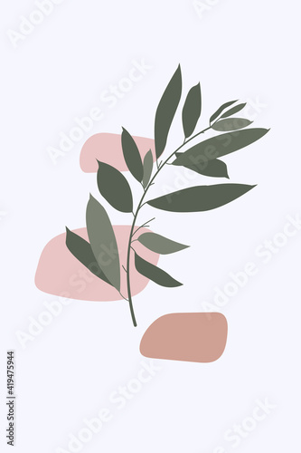Vector botanical poster, minimalistic boho style, hand drawn design, olive leaves branch, abstract spot shapes, earth palette colors