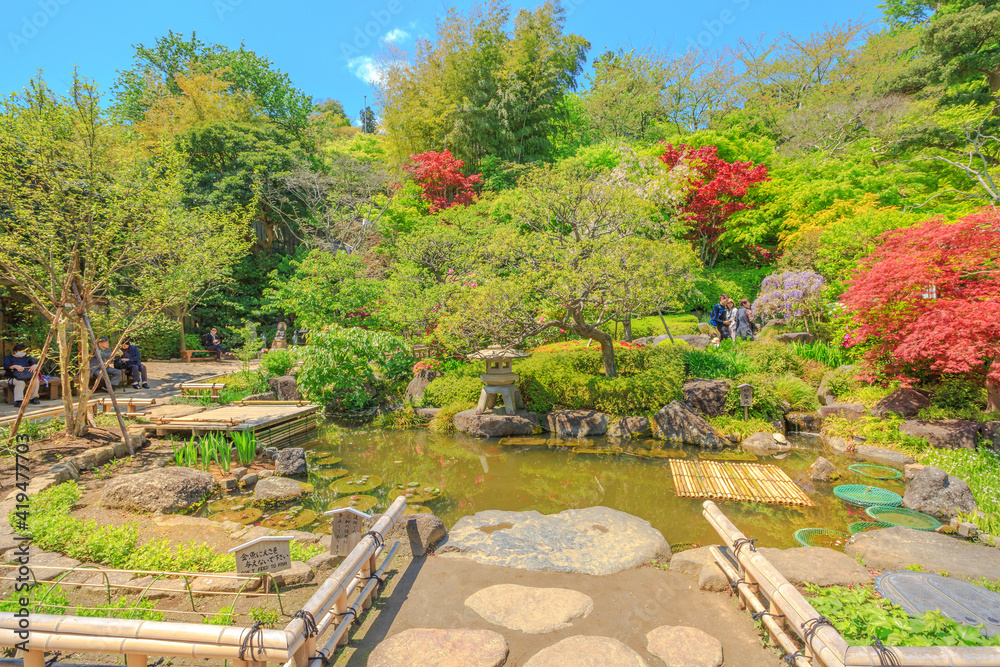 Kamakura, Japan - April 23, 2017: smaller flowering garden with a pond near the Kannon-do hall in a sunny day with blue sky. Hase-dera Temple in Kanagawa Prefecture, Kamakura. Spring season.