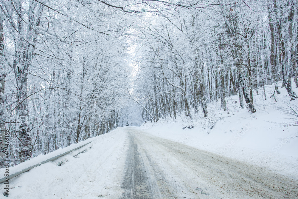 Obraz premium Road in Sabaduri forest with covered snow. Winter time