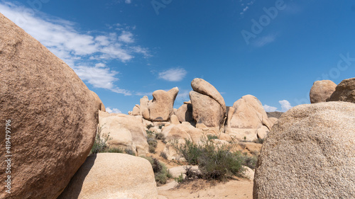 joshua tree national park