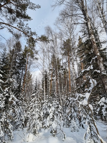 Russia, Ural Mountains, winter © Anton