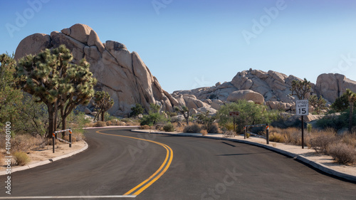 joshua tree national park