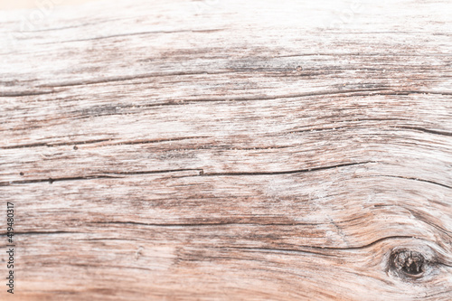 Jasne piękne drewniane tło, tekstura białego drzewa, pnia ze słojami.  © insomniafoto