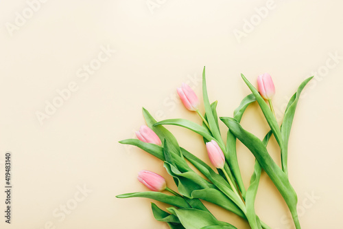 Bouquet of gently pink tulips on a light background  top view