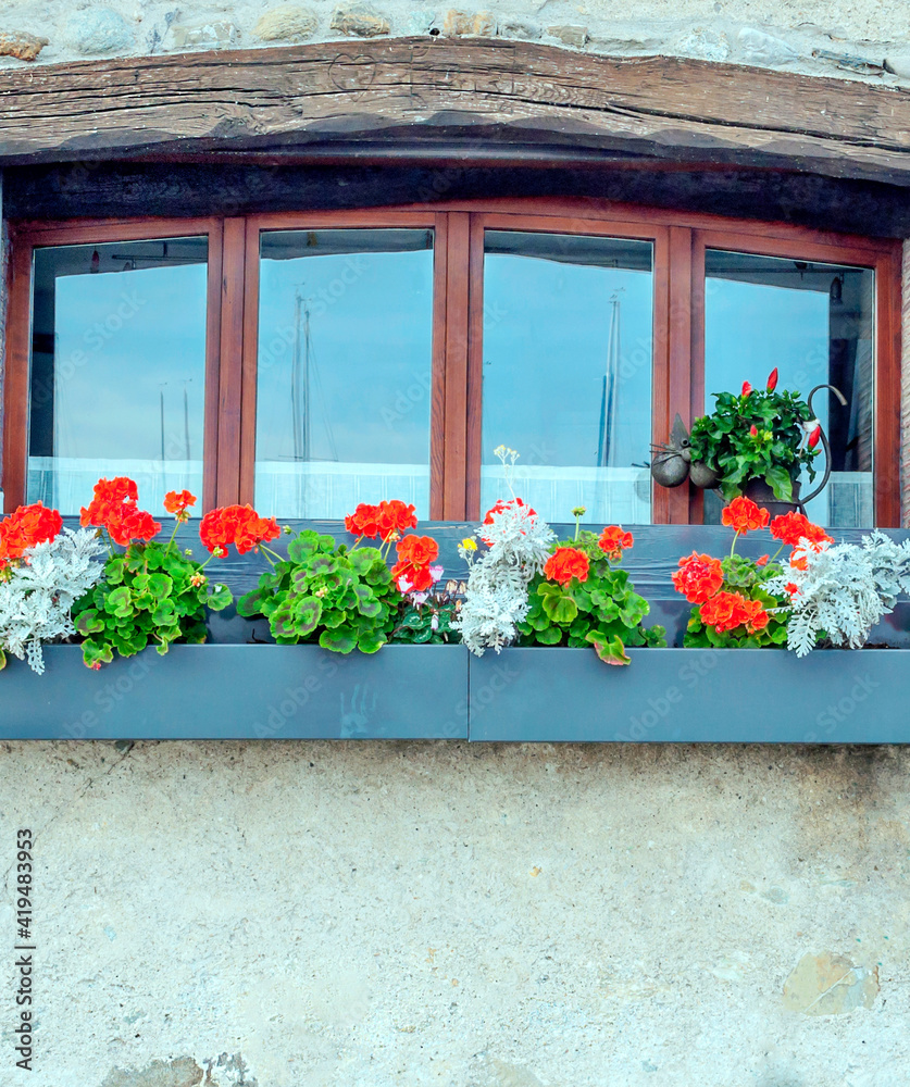 Windows with flowers