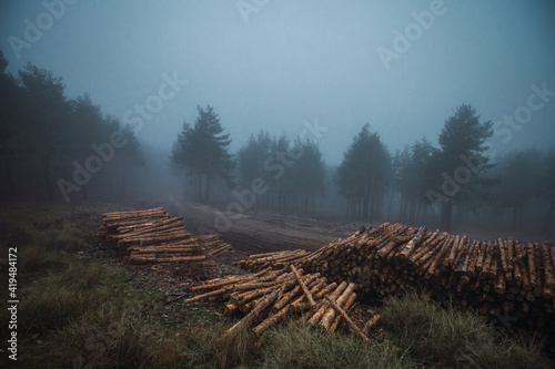Scenic view of heap of timber on grass against trees under misty sky in twilight photo