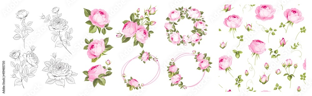 Set of differents roses on white background