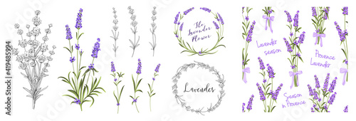 Set of differents lavender elements on white background.