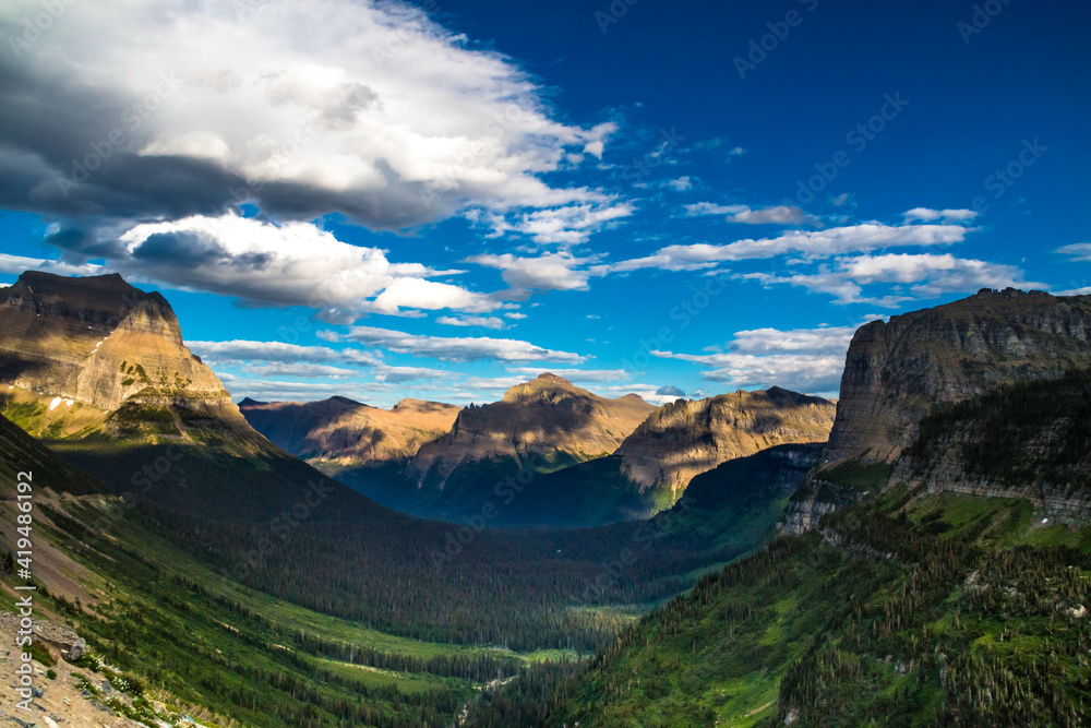 Naklejka premium Views from the Hidden Trail in Glacier national park in Montana during summer. wild flowers, towering Bear Hat Mt and Mt . Reynolds can be seen in this hike.