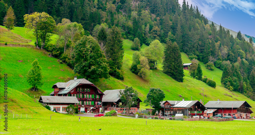 Houses in the meadows