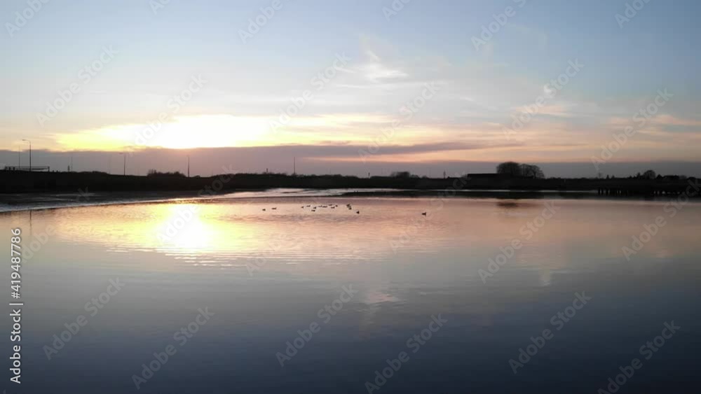 Birds Swimming In Shallow Waters In Crezeepolder Netherlands - aerial shot