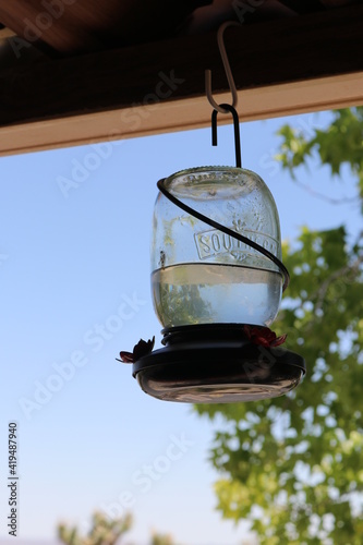 Humming Bird Feeder