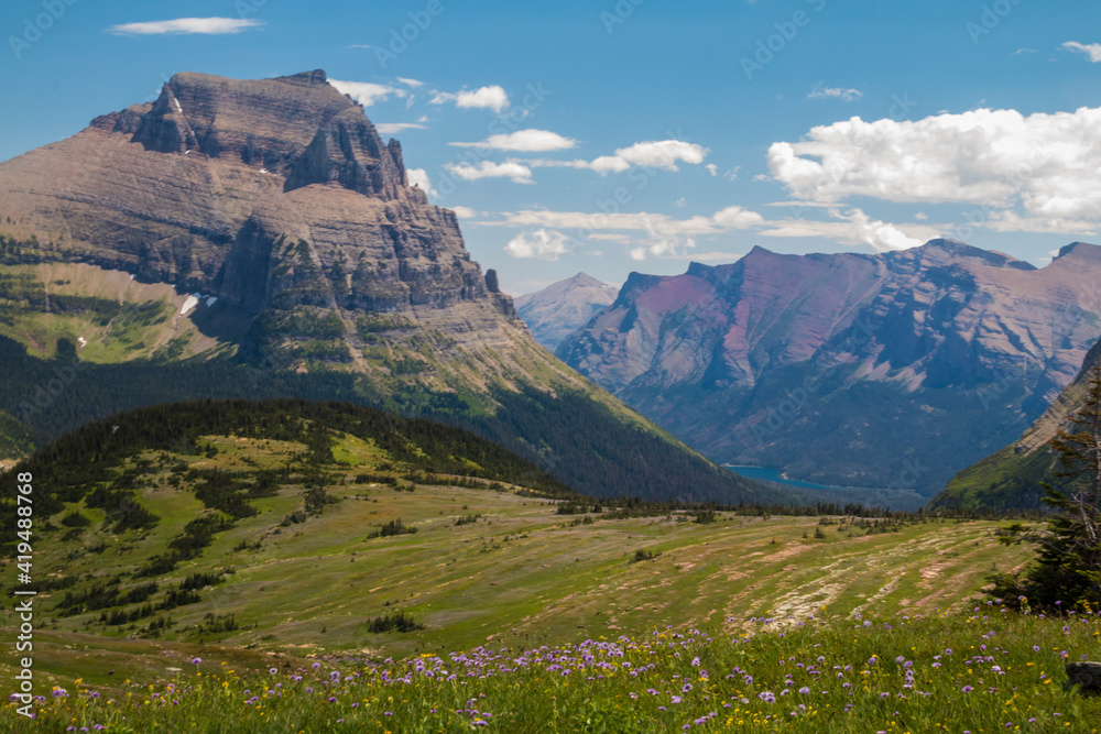 Views from the Hidden Trail in Glacier national park in Montana during summer. wild flowers, towering Bear Hat Mt and Mt . Reynolds can be seen in this hike.