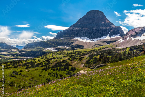 Views from the Hidden Trail in Glacier national park in Montana during summer. wild flowers, towering Bear Hat Mt and Mt . Reynolds can be seen in this hike.