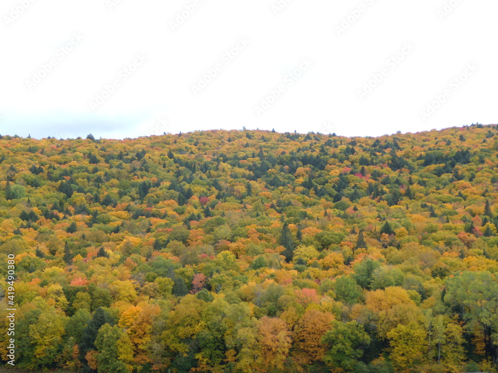 La Tuque region of southern Quebec during the colourful fall season