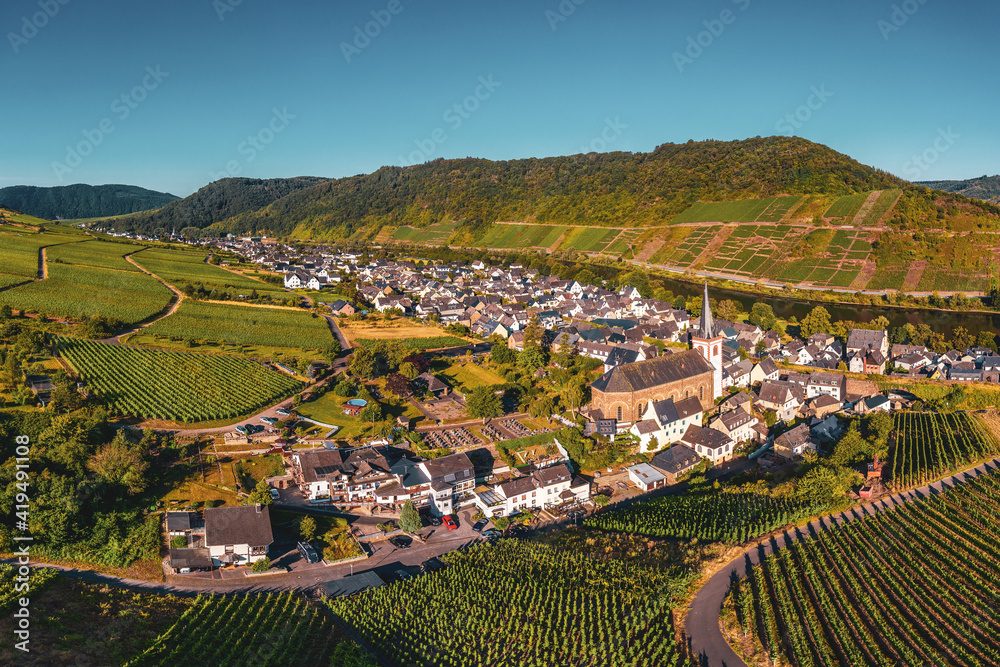 Panoramic view of the Moselle vineyards near Bruttig-Fankel, Germany. .Created from several images to create a panorama image.