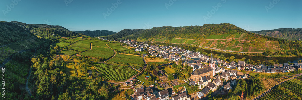 Panoramic view of the Moselle vineyards near Bruttig-Fankel, Germany. .Created from several images to create a panorama image.