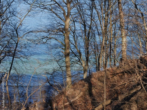 Weg zum Nordperd auf Rügen photo