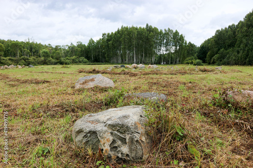 landscape with forest, meadow and large boulders 