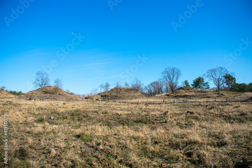 Meadow landscape on a sunny day in Doeberitzer heide Brandenburg Germany