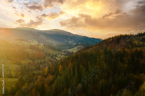 Aerial view of high mountain hills covered with dense yellow forest and green spruce trees in autumn.