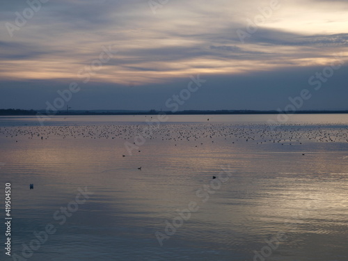 Sunset scene of lake Orient   Aube  France