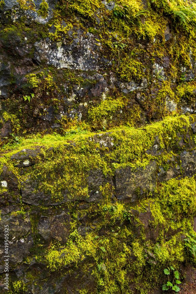 Multnomah Falls Pathway Mossy Stone Wall Multnomah Falls Pathway Mossy Stone Wall