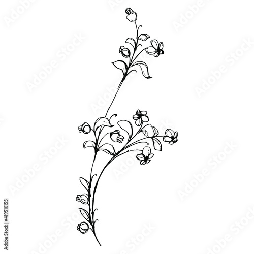 Blooming flower branch. Folk style. Beautiful floral motif. Hand drawn linear rough doodle sketch. Black silhouette on white background.