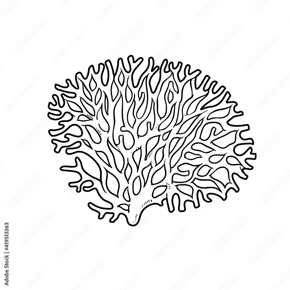 Big coral coloring book linear drawing isolated on white background