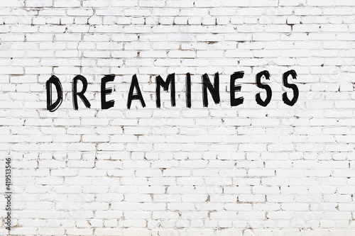 Inscription dreaminess painted on white brick wall