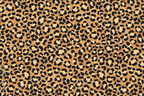 Leopard print design. Cheetah skin. Animal print.