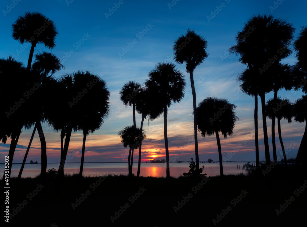 Silhouetted Tropical Palm Trees Against Blue Skies and Colorful Sunrise Over Still Ocean Waters 