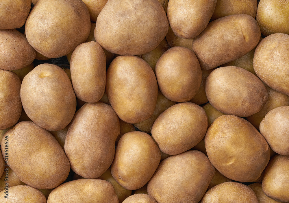 Background of a heap of potatoes close-up. Close-up potatos texture. Background of a heap of potatoes close-up. Close-up potatos texture.