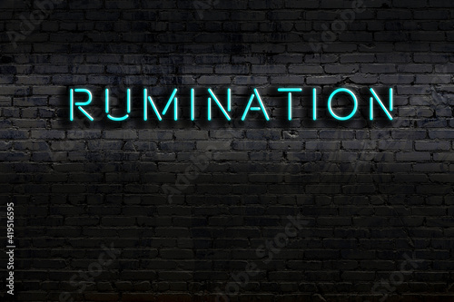 Night view of neon sign on brick wall with inscription rumination photo