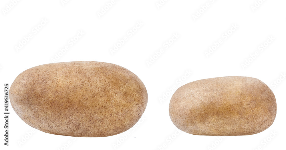 fresh raw potatoes isolated on white background. fresh raw potatoes isolated on white background.