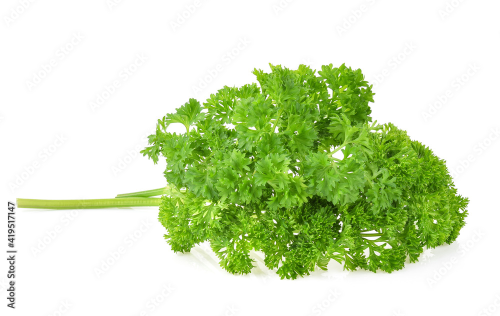 Fototapeta premium Parsley isolated on white background
