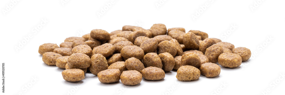 domestic animals dry food isolated on white background. dry cat feed cut out. above view