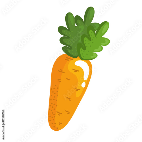 fresh carrot vegetable healthy food