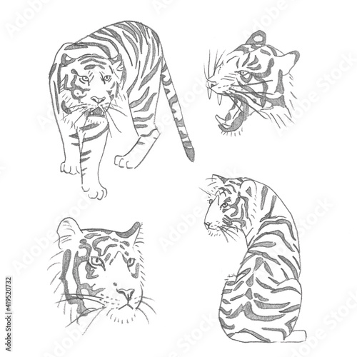 Cztery tygrysy